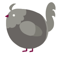 A grey and ash chicken with a head pattern