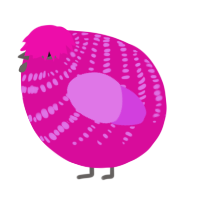 A fuchsia and orchid chicken with a bar pattern