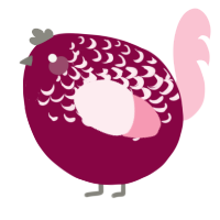 A maroon and rose chicken with a half-lace pattern