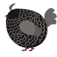 A sable and grey chicken with a lace pattern