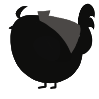 A black chicken
