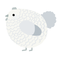 A white and mist chicken with a lace pattern