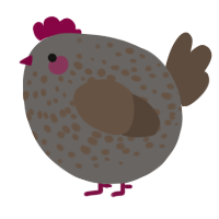 A grey and bark chicken with a speckle pattern