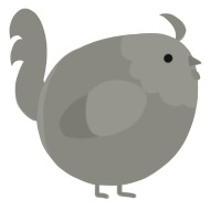A ash chicken with a head pattern