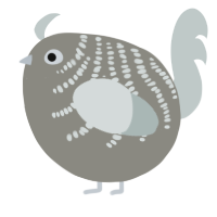 A ash and silver chicken with a half-bar pattern