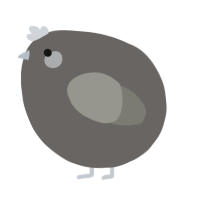 A grey and ash chicken