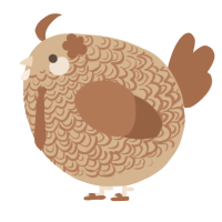A beige and brown chicken with a double-lace pattern