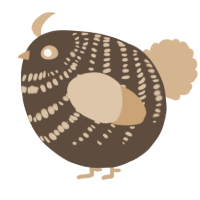 A bark and beige chicken with a bar pattern