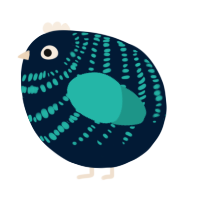 A tumblr and turquoise chicken with a bar pattern
