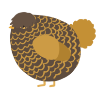 A bark and gold chicken with a lace pattern
