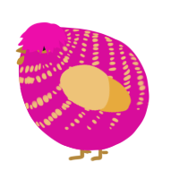 A fuchsia and honey chicken with a bar pattern