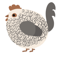 A cream and grey chicken with a double-lace pattern