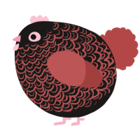 A sable and red chicken with a double-lace pattern