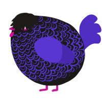 A sable and indigo chicken with a double-lace pattern