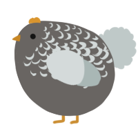 A grey and silver chicken with a half-lace pattern