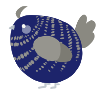 A navy and ash chicken with a bar pattern