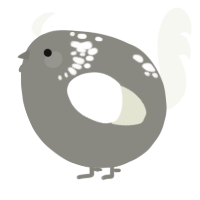 A ash and white chicken with a neck-speckle pattern
