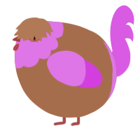 A brown and orchid chicken with a head pattern