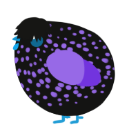 A black and blurple chicken with a speckle pattern