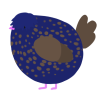 A navy and bark chicken with a speckle pattern