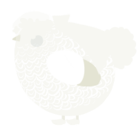 A white chicken with a double-lace pattern