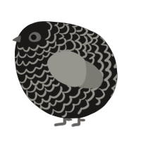 A sable and ash chicken with a lace pattern