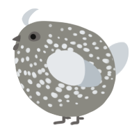 A ash and mist chicken with a speckle pattern