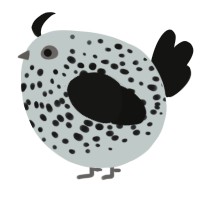 A silver and black chicken with a speckle pattern