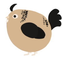 A beige and sable chicken with a neck-band pattern