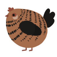 A brown and sable chicken with a bar pattern