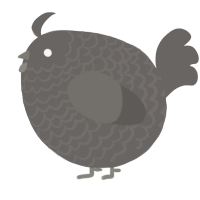 A grey chicken with a lace pattern