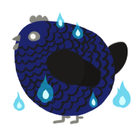 A navy and sable chicken with a lace pattern