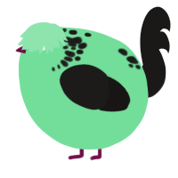 A spring and sable chicken with a neck-speckle pattern