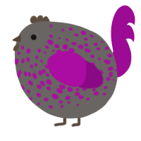 A grey and plum chicken with a speckle pattern