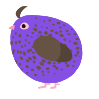 A blurple and bark chicken with a speckle pattern
