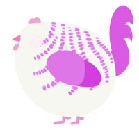 A white and orchid chicken with a half-bar pattern