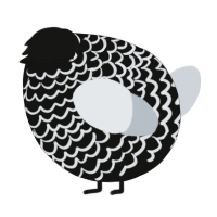 A black and mist chicken with a lace pattern