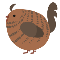 A brown and bark chicken with a bar pattern
