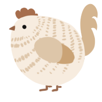 A cream and beige chicken with a bar pattern