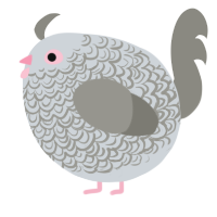 A mist and ash chicken with a double-lace pattern