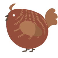 A russet and brown chicken with a half-bar pattern