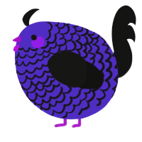 A indigo and black chicken with a lace pattern