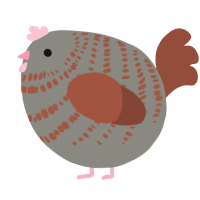 A ash and russet chicken with a bar pattern