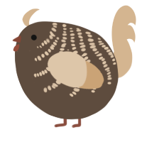 A bark and beige chicken with a half-bar pattern