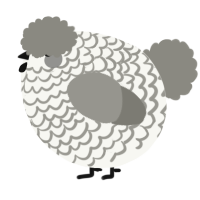 A white and ash chicken with a lace pattern
