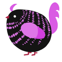 A black and orchid chicken with a bar pattern