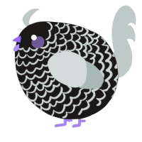A sable and silver chicken with a lace pattern