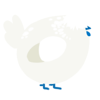 A white chicken with a neck-speckle pattern