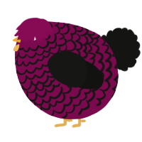 A wine and black chicken with a lace pattern