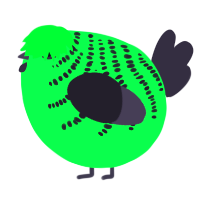 A plum and silver chicken with a half-bar pattern